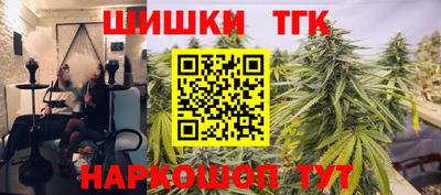 ешки Кингисепп