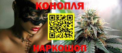 ешки Кингисепп