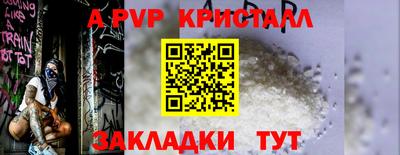 ешки Кингисепп