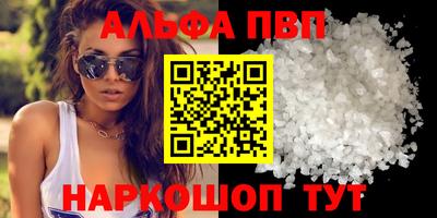 ешки Кингисепп