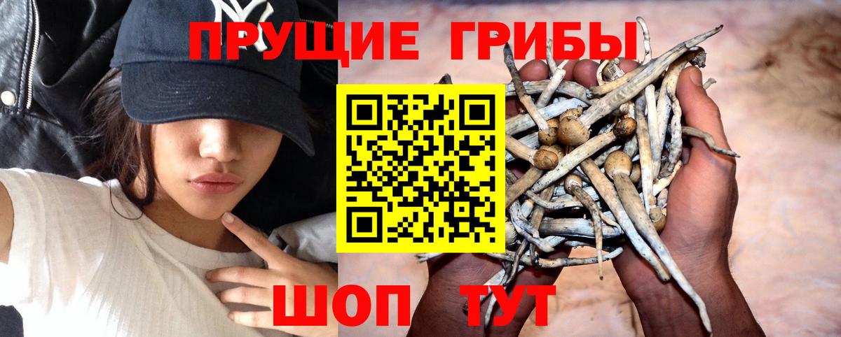 Ивантеевка  Псилоцибиновые грибы Magic Shrooms  Вход с VPN 